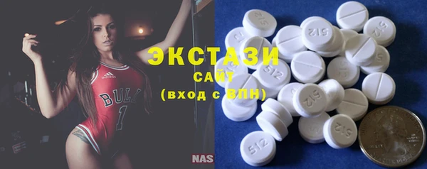 ECSTASY Богородицк