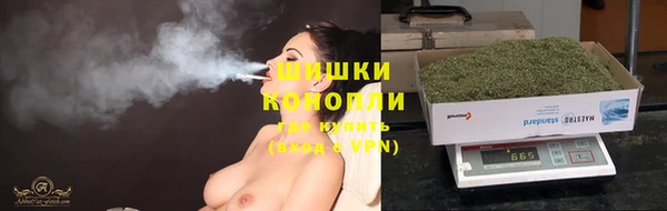 ECSTASY Богородицк